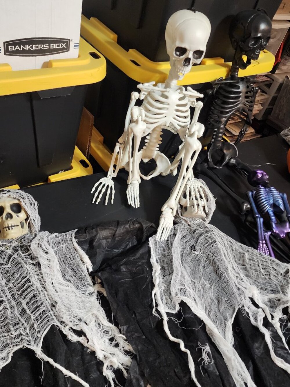 5 pc Skeleton Bundle